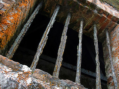 Oh Grate, We're In Prison, Roaring Jellyfish via Flickr cc